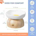 Egg Cat Bowl